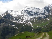 Arp Vieille