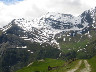 Arp Vieille