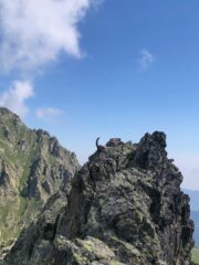 Non eravamo i soli in punta