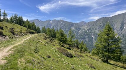 Strada da Conca del Pra a Colle Barant