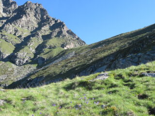 Quasi al colle