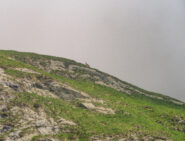 Salu'