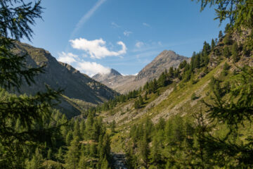 Punta della Tsesère e Arolla, valle di Bardoney