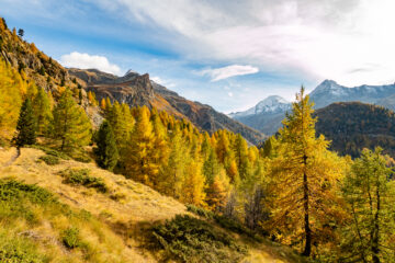 Esplosione di colori autunnali :)