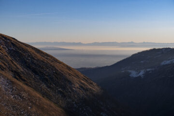Torino