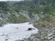 Il salto roccioso si supera facilmente sulla destra