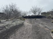 Terzo tiro