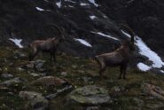 In salita non mancano gli spettatori