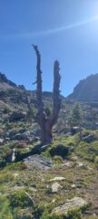 Vallone del Duc