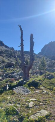 Vallone del Duc