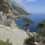 Ginepro per ultima calata