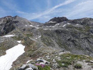 Cima dal colle