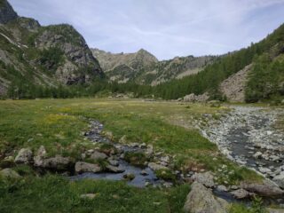 Il pianoro fiorito che precede la bella Alpe Vercoche.