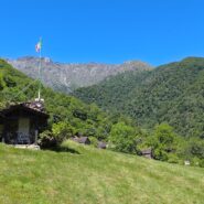 Pogallo