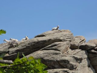 spettatori in punta