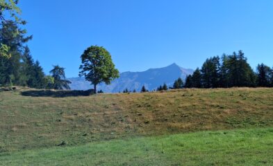 Vista sul Roccia
