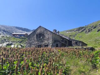 In primo piano il vecchio rifugio e alle spalle quello nuovo