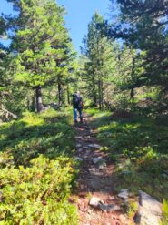 Nel bosco dell'Alevé