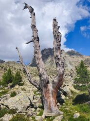 Nel vallone del Duc