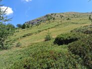 Verso la dorsale