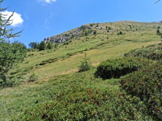 Verso la dorsale