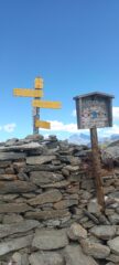 Palina al col de Sollieres
