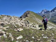 Verso la dorsale 