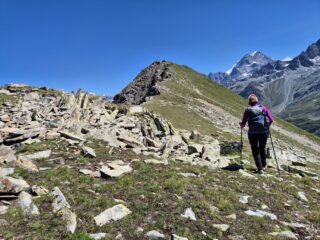 Verso la dorsale 