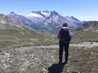 Colle a quota 2600.