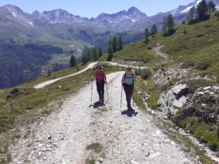 Verso Arp Vieille.