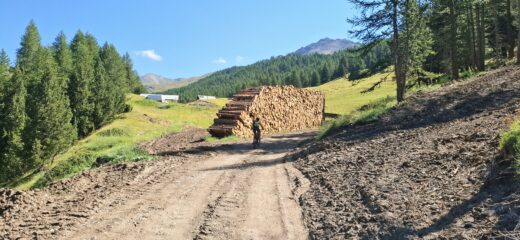 La sterrata nei pressi della Bergerie de Péas