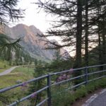 Di prima mattina, salendo al Colle della Lombarda