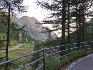Di prima mattina, salendo al Colle della Lombarda