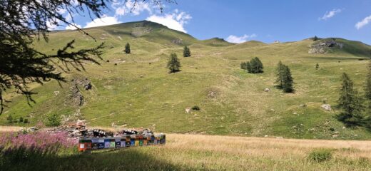 Pian Vasserot