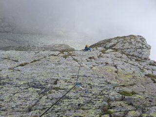 Placca di L5 da sopra