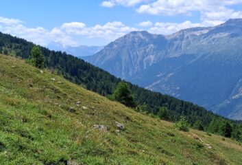 In fondo Les Ecrins
