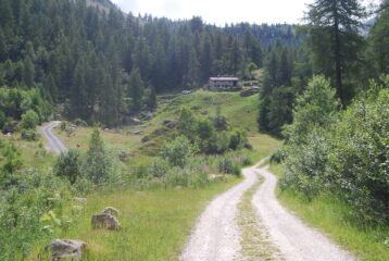 L’arrivo agli alpeggi del Vargno