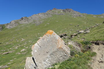 Le tracce di bestiame salendo al colle delle vallette