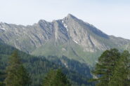 Gran guglia da Bout du col
