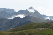 Il cornour