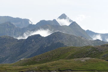 Il cornour