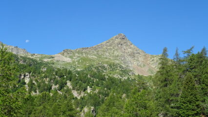 Il Corno