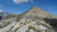 La cima