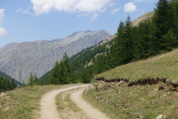 Scendendo lungo la strada 