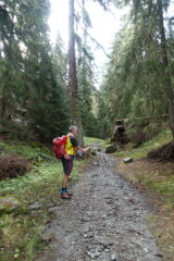 Salendo nel magnifico bosco