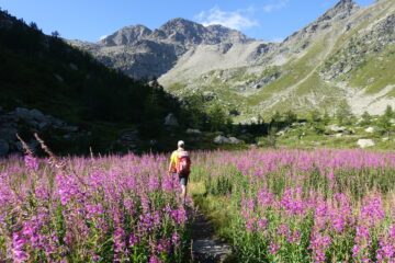 Salendo dopo il lago di Arpy
