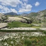 lago di Lee