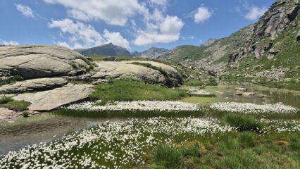 lago di Lee