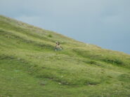 temporale in arrivo