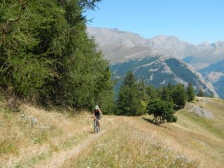 poco sopra il Poggio Tre Croci